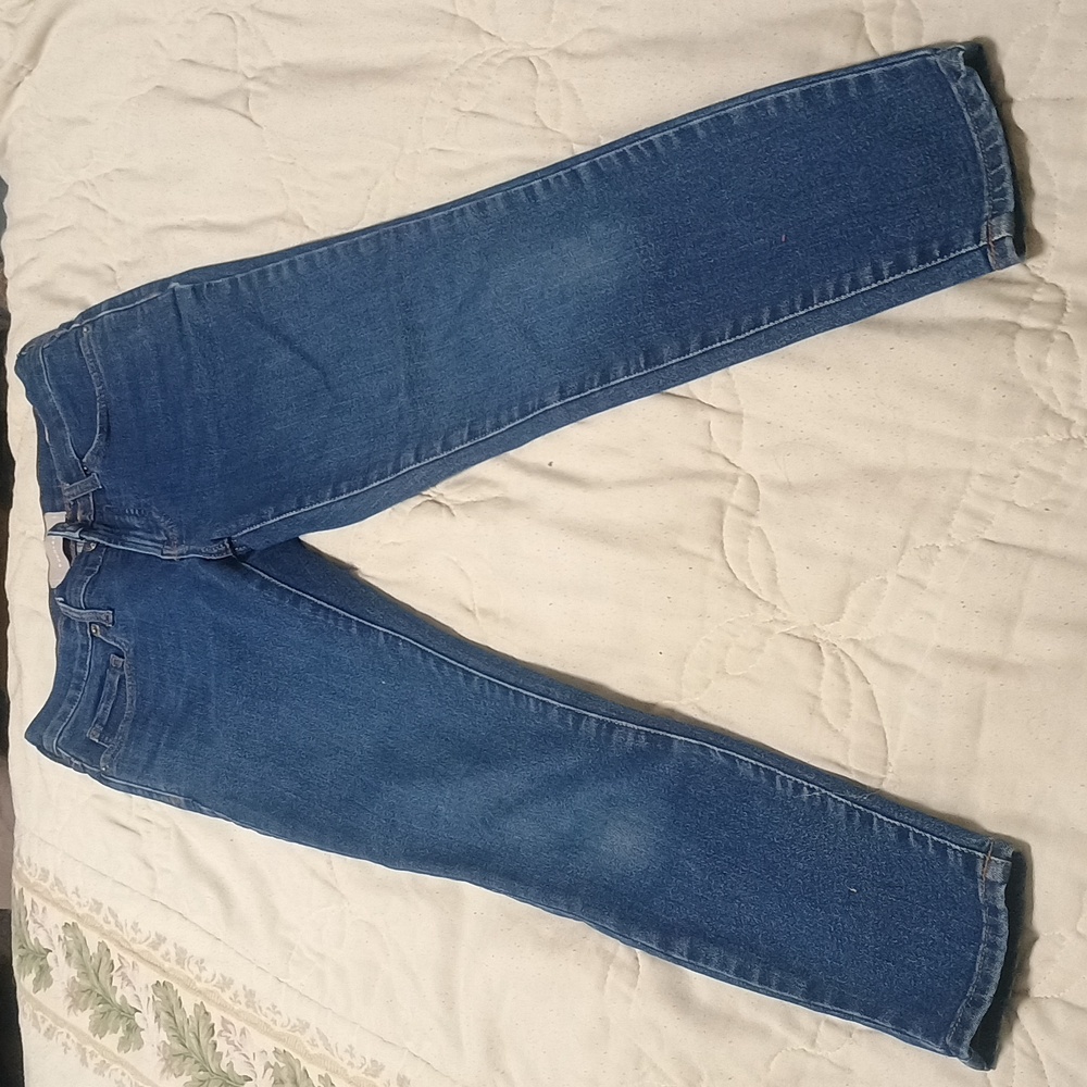 Everlane Blue Skinny Jeans Timeless Style